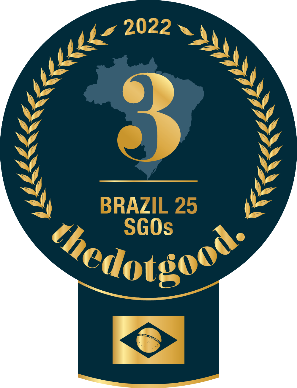 REDE CIDADA is brazil ranked on thedotgood.