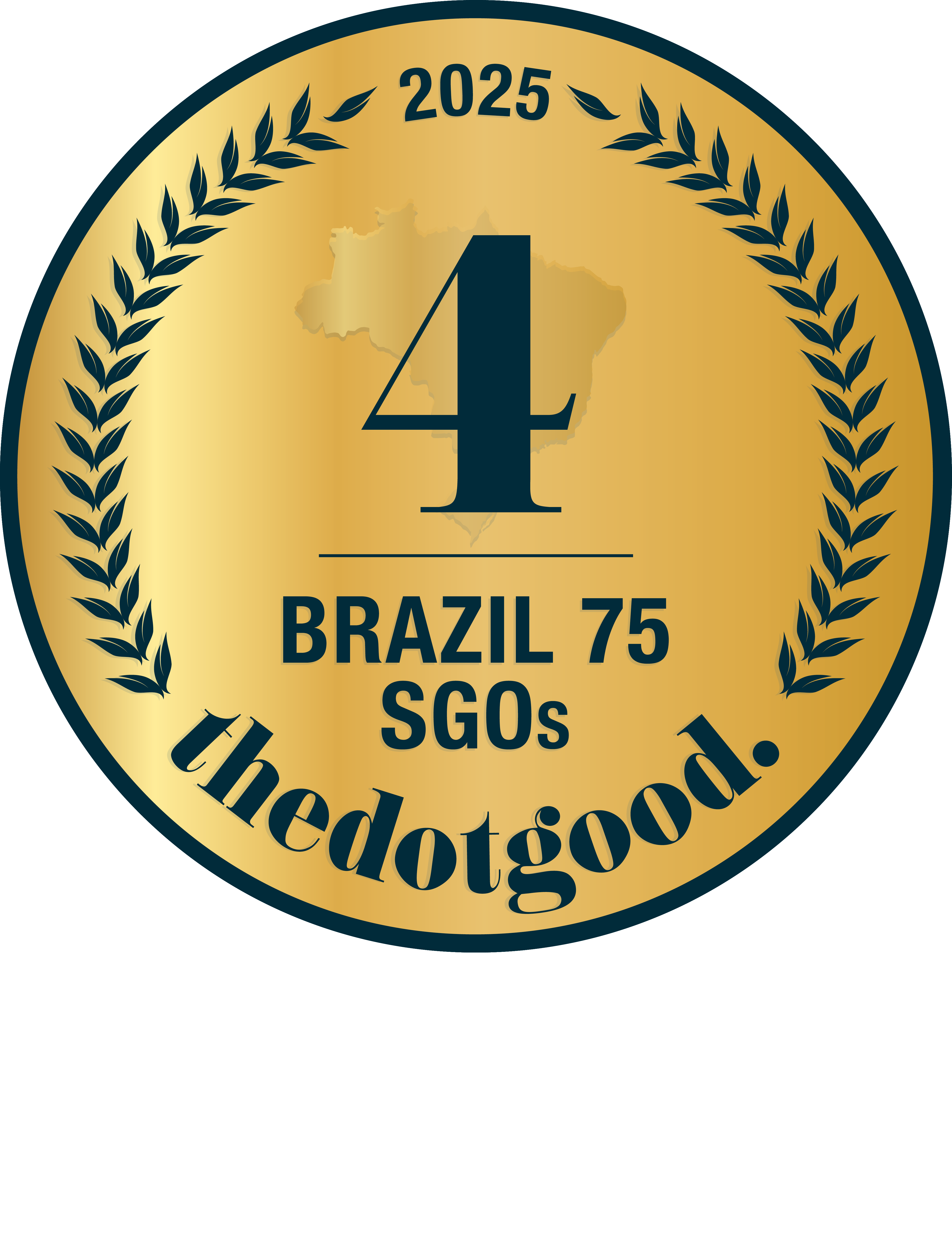 REDE CIDADA is brazil ranked on thedotgood.